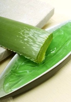Для лечения ячменя можно делать примочки из алоэ